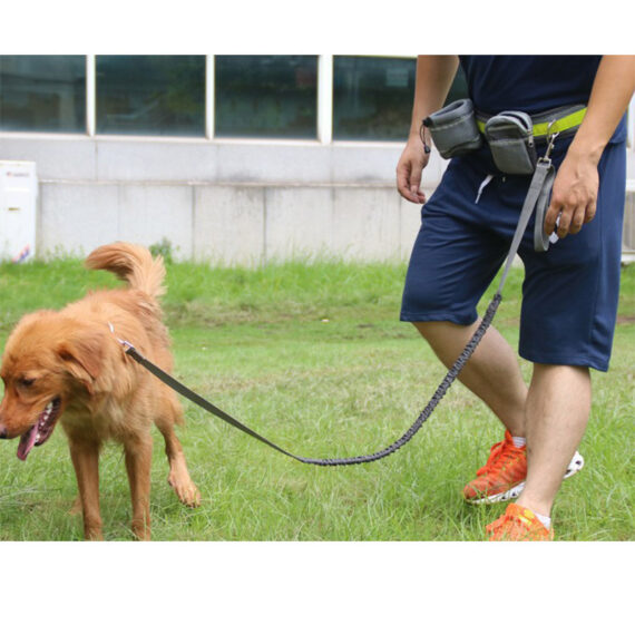 Adjustable Hands Free Dog Leash - Image 6