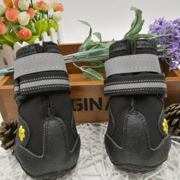Pet shoes wear - dog shoes