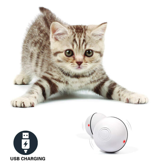 LED Laser Rolling Ball – Interactive Cat Toy - Image 10