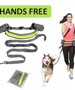 Adjustable Hands Free Dog Leash
