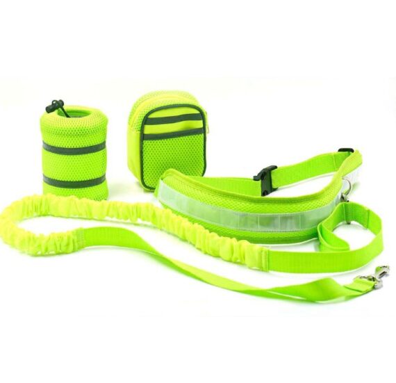 Adjustable Hands Free Dog Leash - Image 2