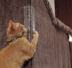 Cat Claw Protector Sofa Protect Pads - Image 3