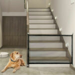 Magic Fence for Dogs & Home Security