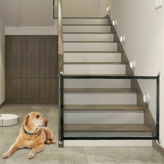 Magic Fence for Dogs & Home Security