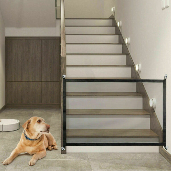 Magic Fence for Dogs & Home Security