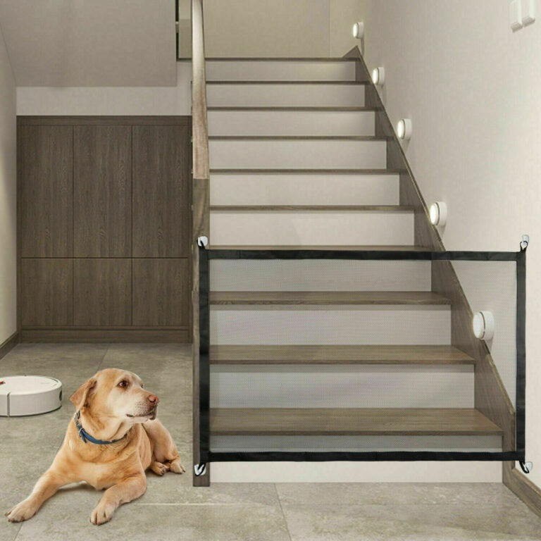 Magic Fence for Dogs & Home Security - Image 1