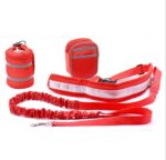 Adjustable Hands Free Dog Leash - Image 5