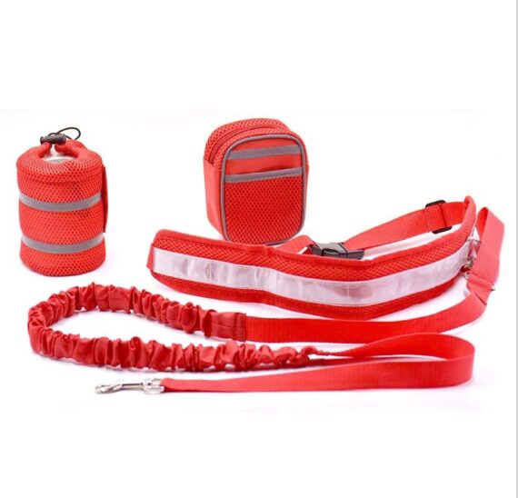 Adjustable Hands Free Dog Leash - Image 5