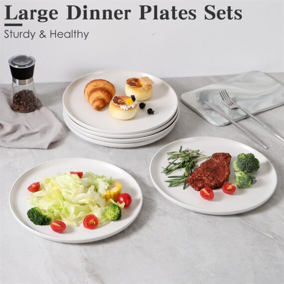 6-Piece Versatile Food Plate Set – Oven & Microwave Safe - Image 3