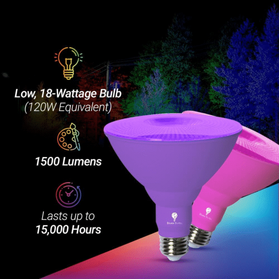 Bluex LED PAR38 Blue Flood Bulb – 2 Pack - Image 2