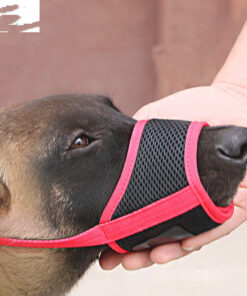 Mouth Cover To Prevent Eating Indiscriminately Large Labrador Dog