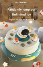 Electric Spinning Disc Fishing Toy - Image 4