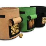 Easy Harvest Grow Bag